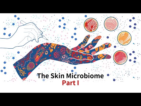 皮膚微生物叢 / The Skin Microbiome - Part I