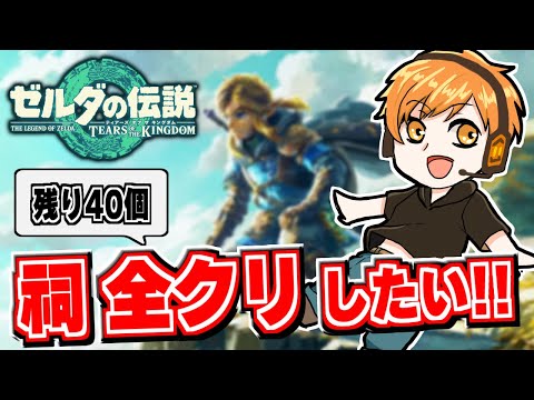 【ゼルダの伝説 ティアーズオブザキングダム】すべての祠を解放したい!!  【生配信】