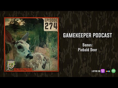 EP:274 | Bonus: Piebald Deer