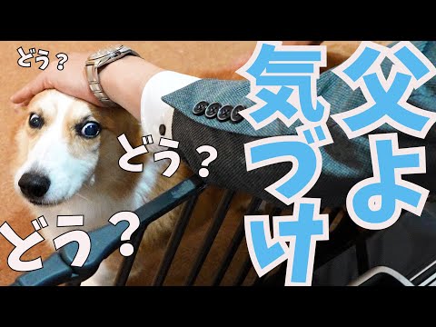 【検証】愛犬の些細な変化に父は気づくのか？！