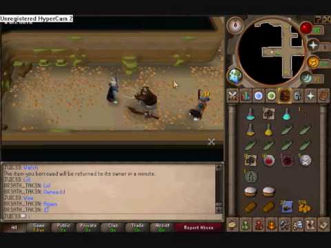 RuneScape Killing Cockroaches with Bandos God Sword