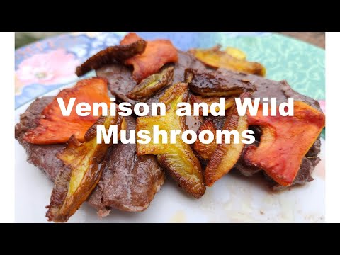 Venison and Wild Mushrooms