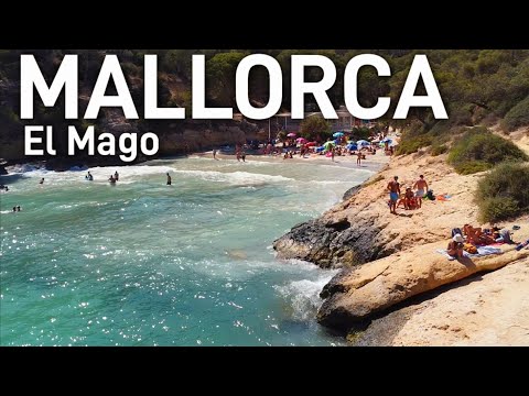 MALLORCA ☀️ PLAYA DEL MAGO / Platja del Rey 🏖 CALVIÁ 👉 drone views