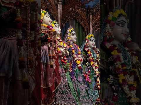 ♥️ Today's darshan of narasimha Deb, Radha Madhav, panchatatwa divine ♥️ 28/12/2024 #mayapuriskcon