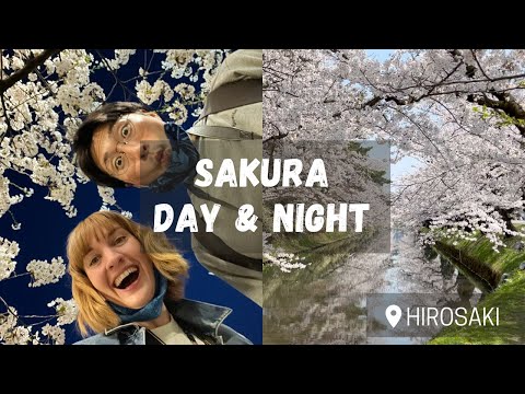 Hirosaki Cherry Blossoms - Day and Night Sakura