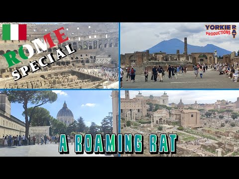 Rome VLOG - A Roaming Rat