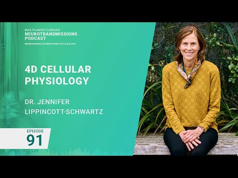 Podcast Episode 91 - 4D Cellular Physiology | Jennifer Lippincott Schwartz