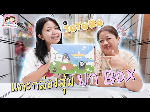 แกะ totoro ยกbox น่ารักทุกจุ่ม Happy Channel