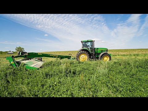 Mowing First Cut...Cinematically