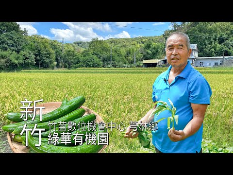 【芎林】綠華有機園