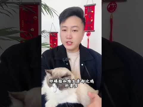 猫咪可以吃的，人类食物，你知道有哪些吗？养猫经验分享 科学养宠攻略 养猫人 兔肝新手养猫