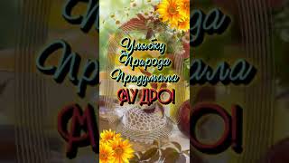 Воскресенье! С Добрым Утром! Удачи и Улыбок! 🌼🍎🫐🍁