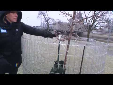 Iowa ice storms