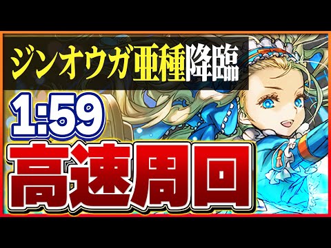 【ジンオウガ亜種降臨】ノアループで快適周回！部位ごとボス1パン編成！【パズドラ】