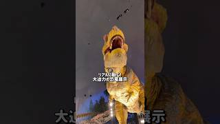 凄すぎる！福井県立恐竜博物館の見どころ4つ教えます #恐竜 #dinosaur #shorts