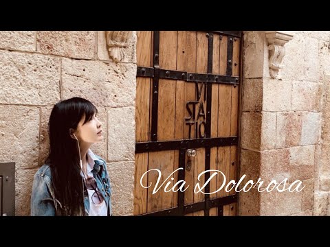 周慧敏 Via Dolorosa