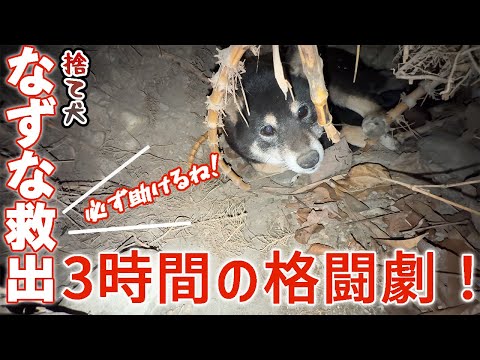 【捨て犬救出感動‼️】突然なずな発見の連絡！薄暗くなる中、救出に向かう40代夫婦！