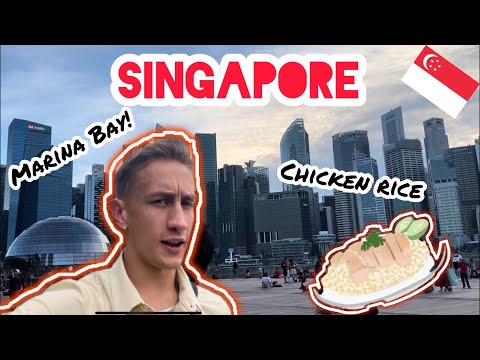 The Last Chicken Rice | Final Day in life in Singapore