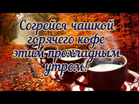 Музыкальная открытка с Добрым утром Вас! Красивая песня!Здесь очень классные видео с Добрым утром .…