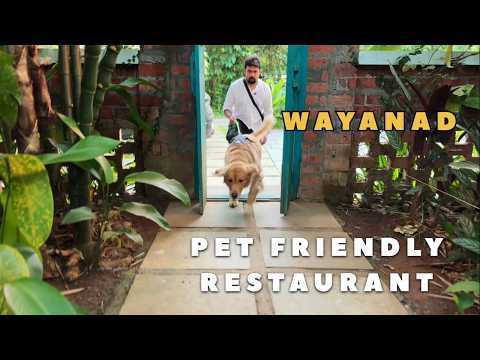 Travelicious Restaurant Wayanad A Pet Friendly Paradise for Food & Fun 🐾🍴