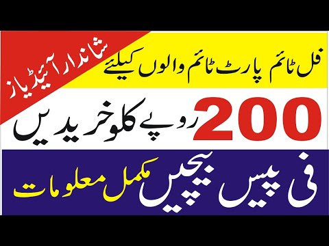 small business ideas in pakistan with low investment in urdu -hindi | Smart Business Plan