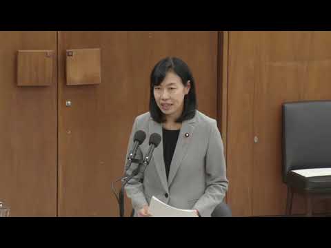 金子恵美　衆議院・東日本大震災復興特別委員会 　20231211