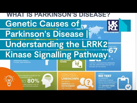 Genetic Causes of Parkinson's Disease | Understanding the LRRK2 Kinase Signalling Pathway