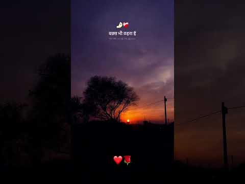 Romantic Love Status 🌹|| WhatsApp Love Status 💕 || Love Status 💕#shorts #lovestatus #music #song