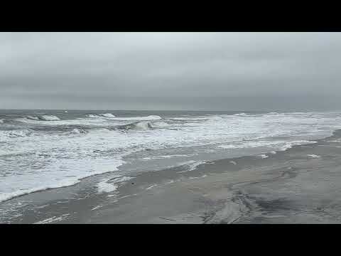 NE Florida Surf And Beach Update 1150am 12.23.24