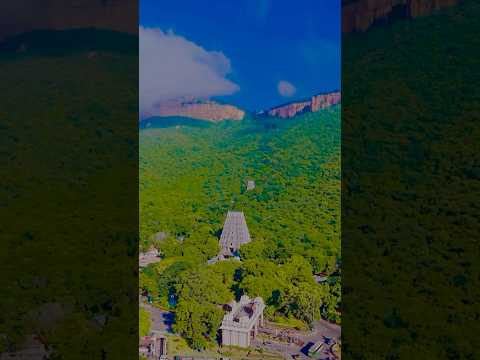 The beauty of Tirupathi Tirumala 😍 #tirupathi #tirumala #govinda #venkateswara #heaven #shorts