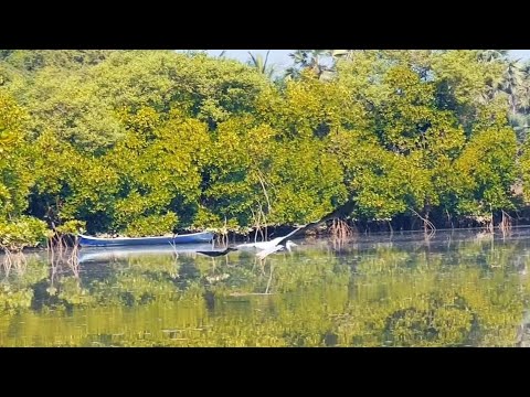 #native #nature 🌿🍃🌿🍃 #village #market #river #trending #viral #youtubevideo #tamil