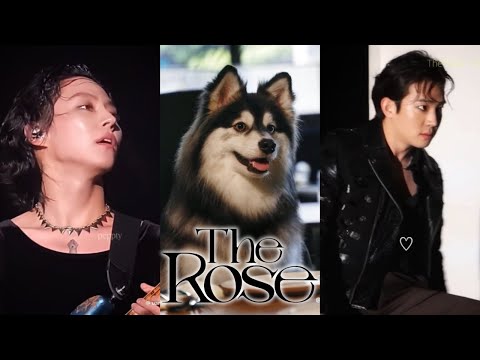 The Rose 더로즈 tiktok 🌹 #6