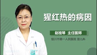 猩红热的病因 有来医生