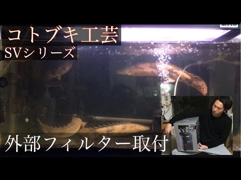 熱帯魚水槽！外部フィルター取付[コトブキ工芸]古代魚