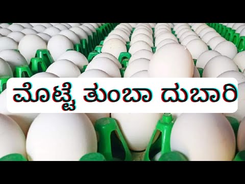 ಮೊಟ್ಟೆ ರೇಟು ತುಂಬಾ ದುಬಾರಿ | egg price is very costly