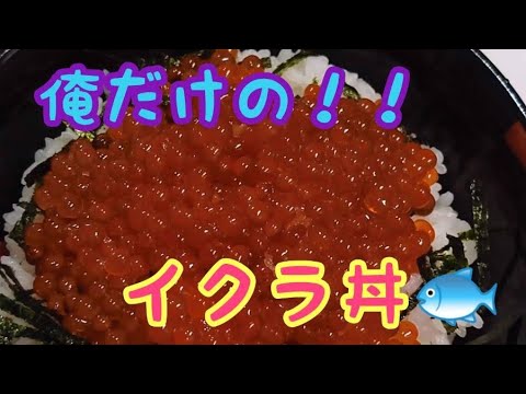 【爆絶イクラ丼】俺だけの最強丼‼️食欲の秋ですなぁー‼️#shorts