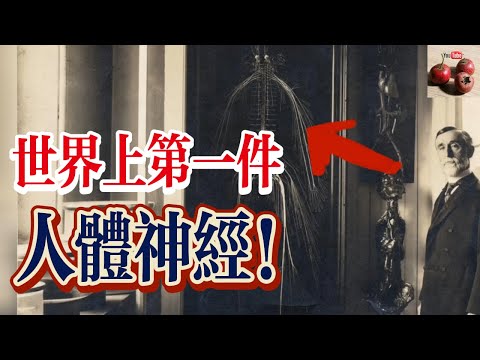 世界上第一件整套切除的人體神經系統！原來是出自一名清潔工！【有億思】