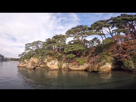 仙台松島～地底の森ミュージアム～大江戸温泉ホテル壮観（2021年10月宮城岩手観光1日目）