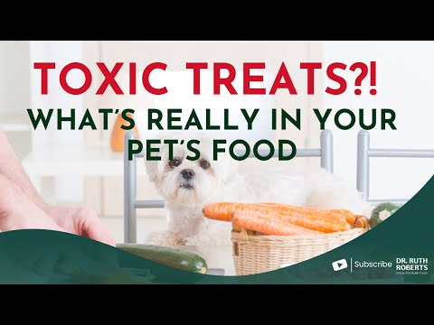 The Shocking Truth About Pet Food and Health Risks You Need to Know