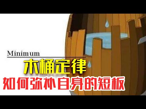 什么是【木桶定律】|抓最长的，不如抓最短的。克服人性短板，避开成事“暗礁”#人生智慧#好書推薦#人性#经典传奇#每天读本书#读书笔记#读后感