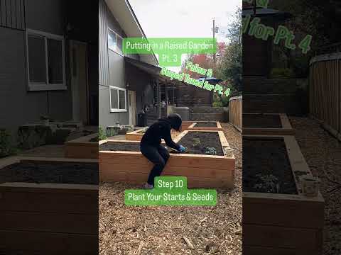 Our Backyard Transformation Update: Now We Planted The Seeds!!