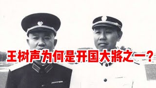 十位开国大将中，王树声看似战绩平平，为何却能入围大将之列？