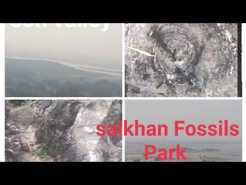 salkhan Fossils Park//Son valley view//Road trip//#roadtrip #salkhanfossilspark#uptourism