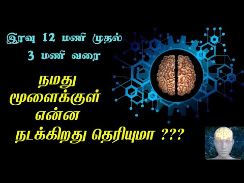 நமது மூளை செய்யும் மாயம் | Brain Facts In Tamil | Interesting Brain Facts | Human brain and memory