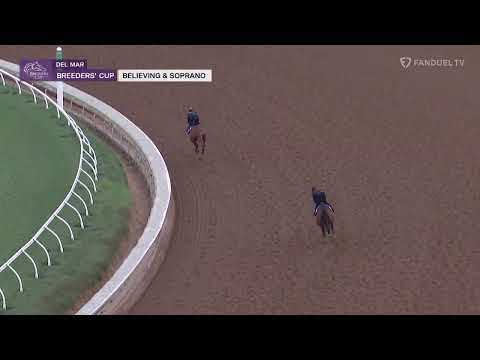 Breeders' Cup Contender Believing