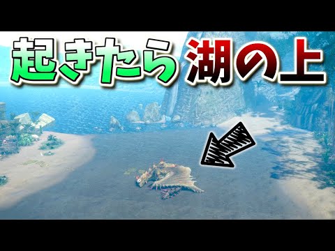 【ドッキリ】エスピナスの目が覚めると "湖の浜辺の上" にいたらどうなる？（モンハンサンブレイク）