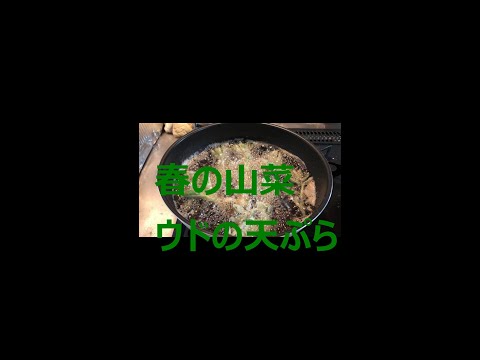 長野県産の山ウドとタケノコ煮物とサラダ春の香り