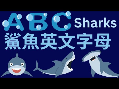 鯊魚 ABC | 寶寶英語教學｜幼兒英文字母發音｜兒童英文學習｜中英文單字｜雙語教育｜Shark Alphabet | Shark ABC