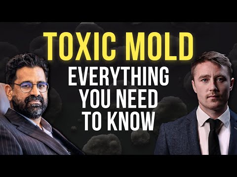 1 in 5 People Affected? Doctor Answers Most Important Questions on Mold Toxicity