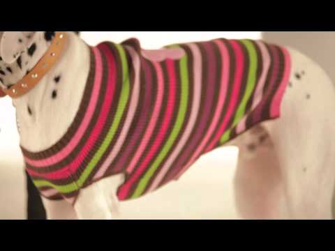 Strike-A-Paws 2014 - Wag-A-Tude Multi Stripe Mockneck With Bone